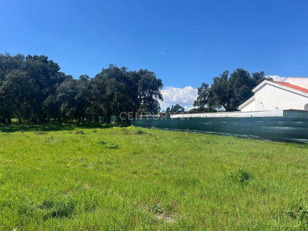  Terreno Urbano para Construção na Quinta do Quadrado em Alhos Vedros - Image 4
